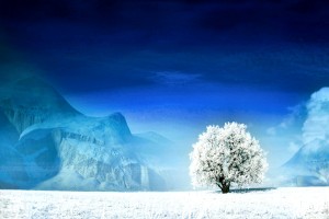 世界举重康复示范基地智能维护项目年度汇编发布，2021年世界举重比赛视频