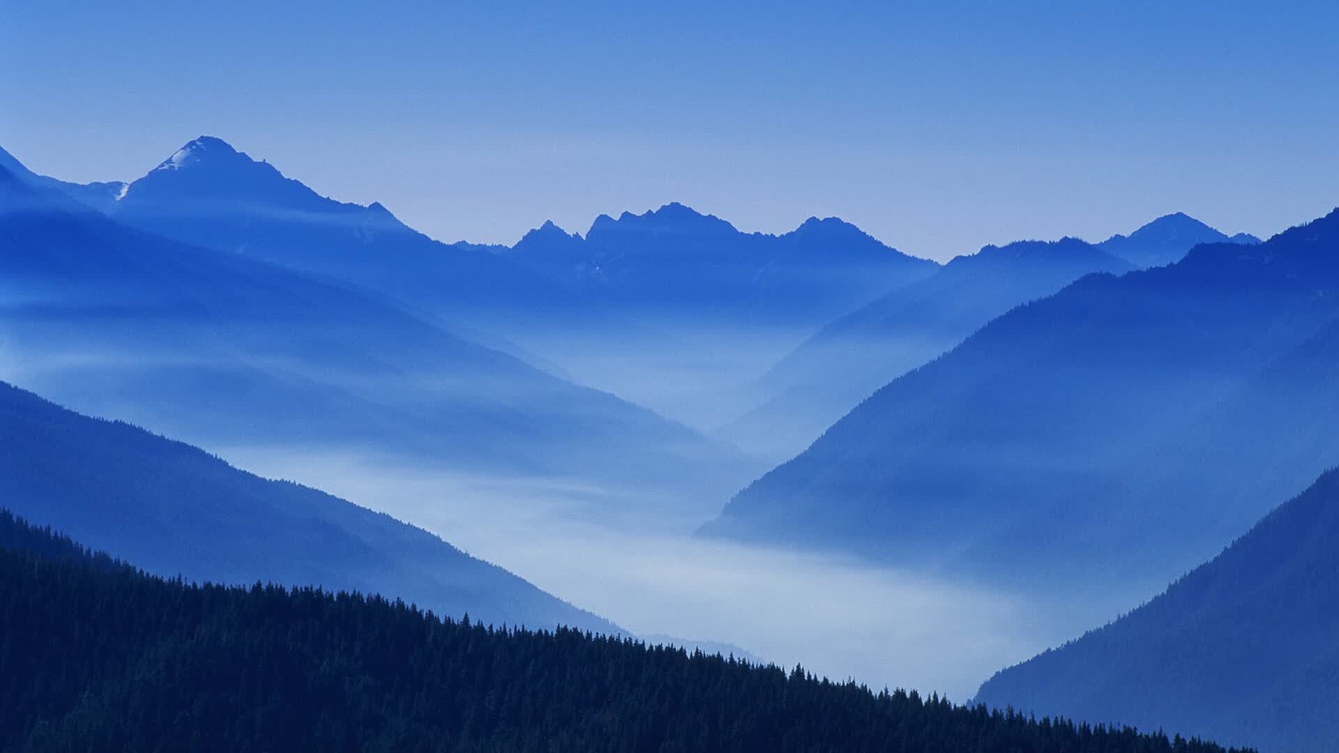 世界举重康复线上课堂名师角度专题上线,世界举重青年锦标赛
