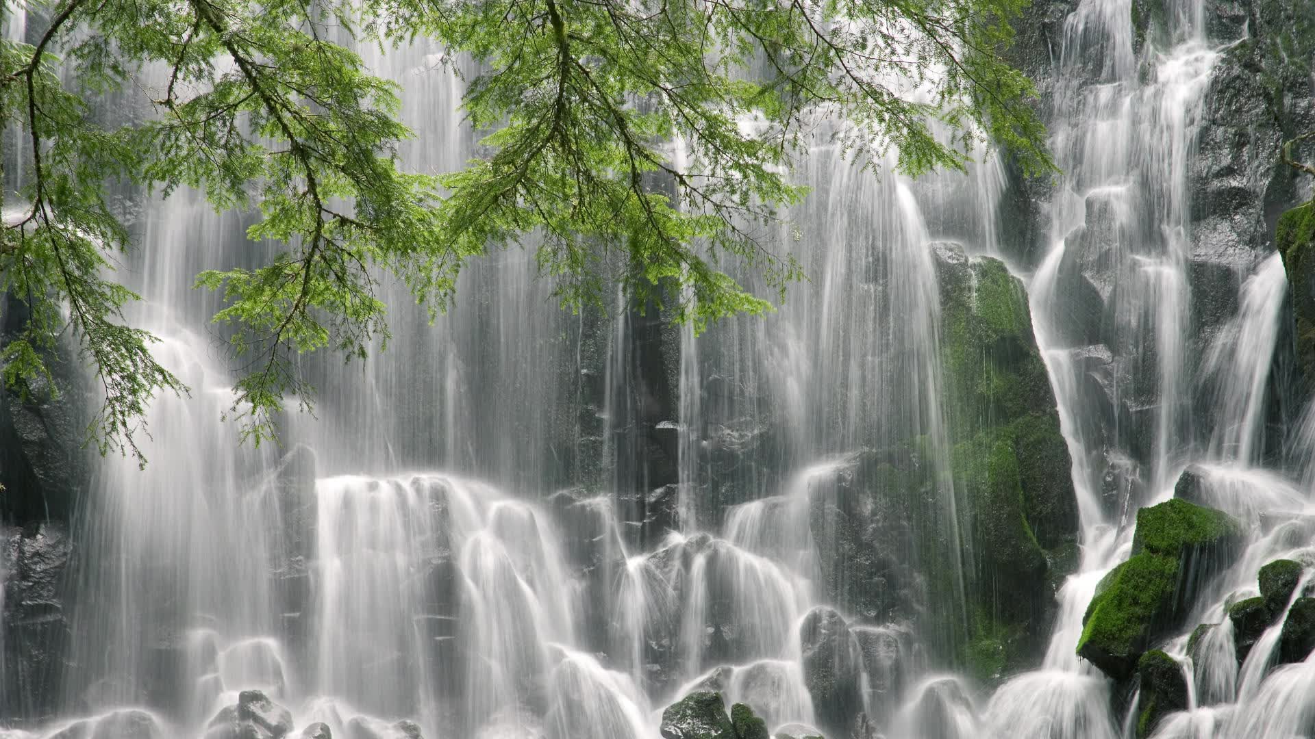 世界体操团体赛赛场康复与心理支持示范中心第三批城市启动,世界体操大赛包括